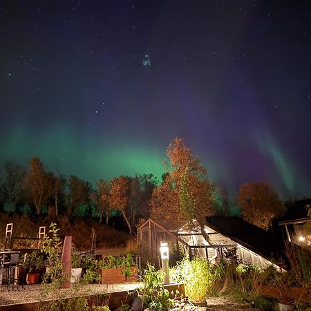 Hakoya Lodge Τρόμσο Εξωτερικό φωτογραφία