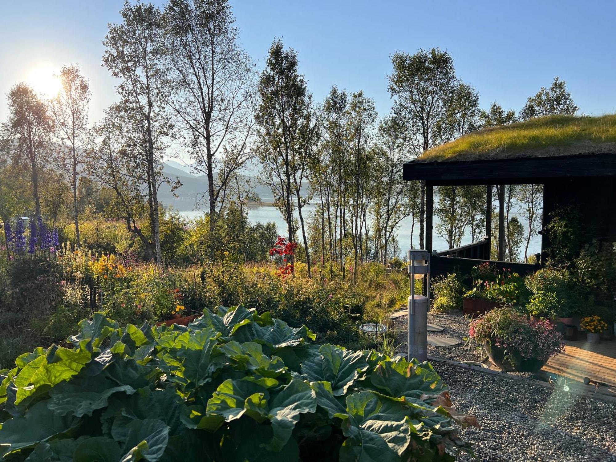 Hakoya Lodge Τρόμσο Εξωτερικό φωτογραφία